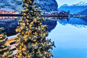 Diciembre junto al fiordo - Tour de invierno Norway in a nutshell®