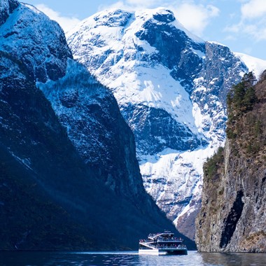Visión de los fiordos - Tour de invierno Norway in a nutshell®