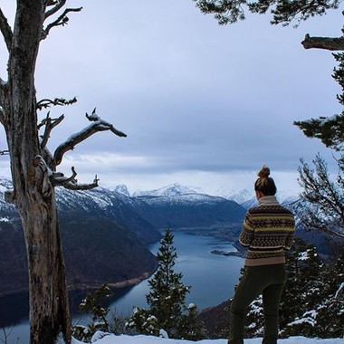 Utsikt over Sognefjorden - Sognefjorden i et nøtteskall vintertur