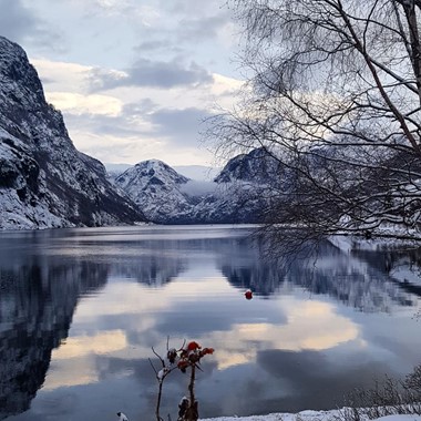 Sognefjord in a nutshell winter tour - the Aurlandsfjord
