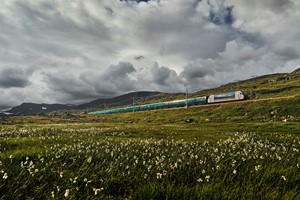 Der Bergenbahn