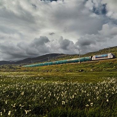 The Bergen Railway 