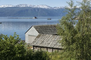 Fruktgårder, fjorder og fossefall