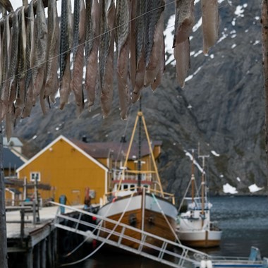 Stockfisch im Dorf Nusfjord trocknen - Lofoten Islands in a nutshell , Norwegen