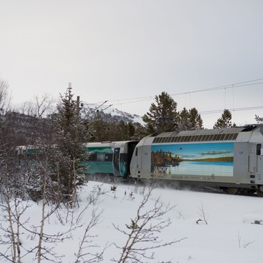 Bergenbahn - Bergplateau Hardangervidda - Norway in a nutshell®