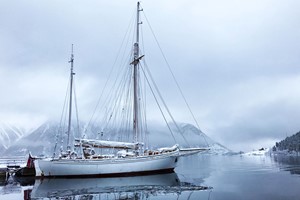Ein kalter und klarer Wintertag in Hardanger - Hardangerfjord in a nutshell Wintertour - Hardangerfjord, Norwegen
