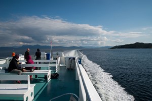 Haz un crucero por los fiordos hasta Rosendal durante el tour Hardangerfjord in a nutshell y Rosendal - Fiordo de Hardanger, Noruega