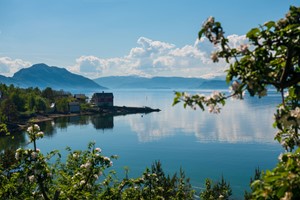 Descubre el lado más romántico de Hardanger durante el tour Hardangerfjord in a nutshell y Rosendal - Fiordo de Hardanger, Noruega