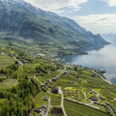 Experience Lofthus on the Cider tour in the Hardangerfjord - Hardanger, Norway