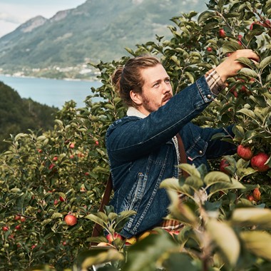 Apfelweinverkostung auf der Agatun Farm auf dem  Cider-Reise zum Hardangerfjord -Norwegen