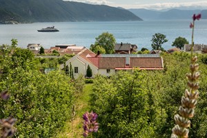 Sognefjorden & Lokalmat