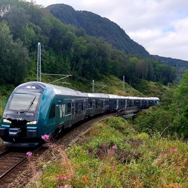 El tren de Voss - Sognefjord in a nutshell - Voss, Noruega