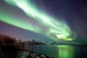 Nordlichter-Safarin Tromsø - Norwegen