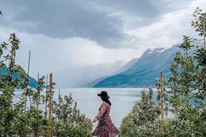 Opplev frukthager i Hardanger på Hardangerfjorden i et nøtteskall turen