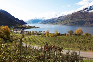 Erleben Sie Lofthus auf dem Hardangerfjord in a nutshell tour