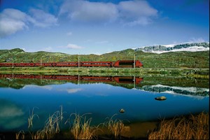 Erleben Sie Die Bergenbahn auf dem Norway in a nutshell® tour von Fjord Tours