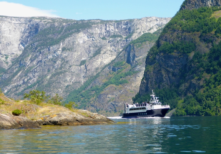 Fjord & Gletscher tour von Balestrand