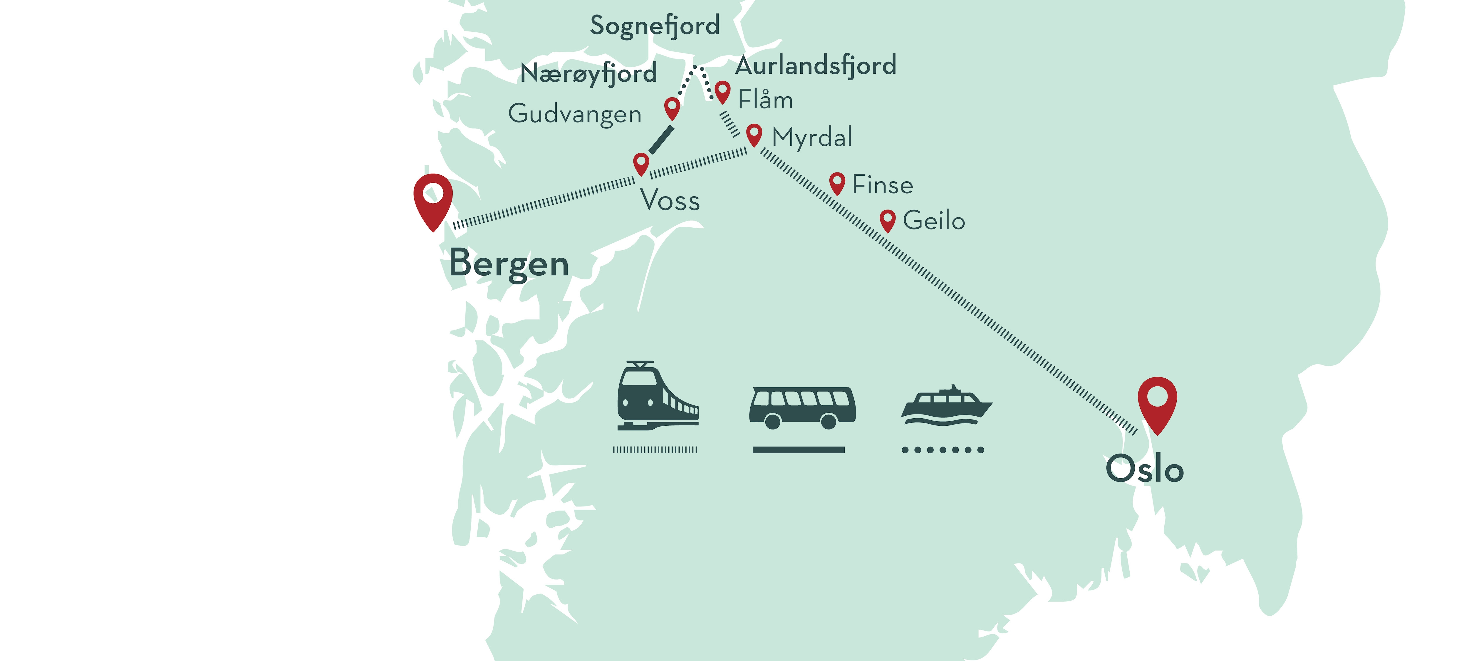 Tour de invierno Norway in a nutshell®