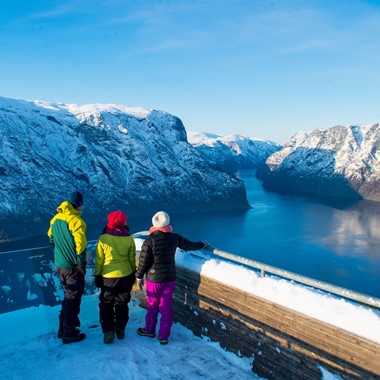 Experience the Stegastein view point on the Sognefjord in a nutshell winter tour by Fjord Tours - Aurland, Norway