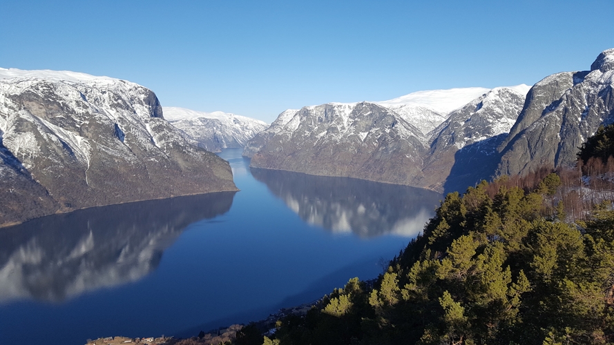 Tour de invierno Sognefjord in a nutshell